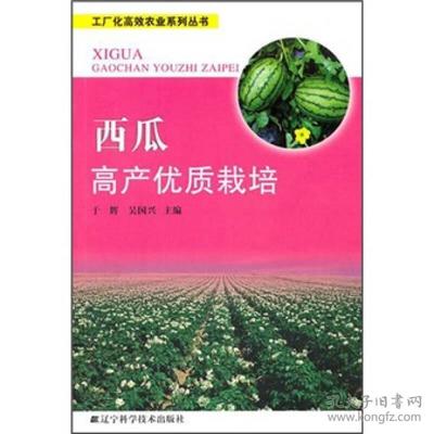 西瓜高产优质栽培