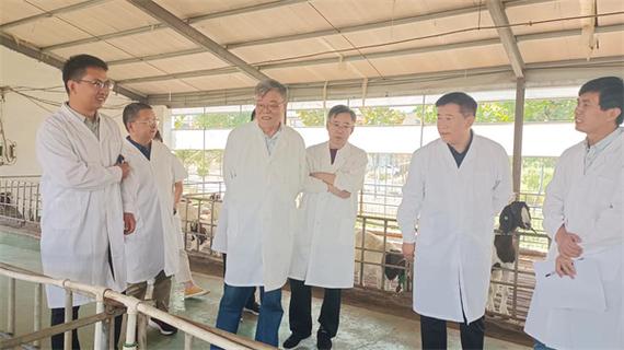 中国农业科学院北京畜牧兽医研究所杜立新教授一行到豫东牧业指导国家